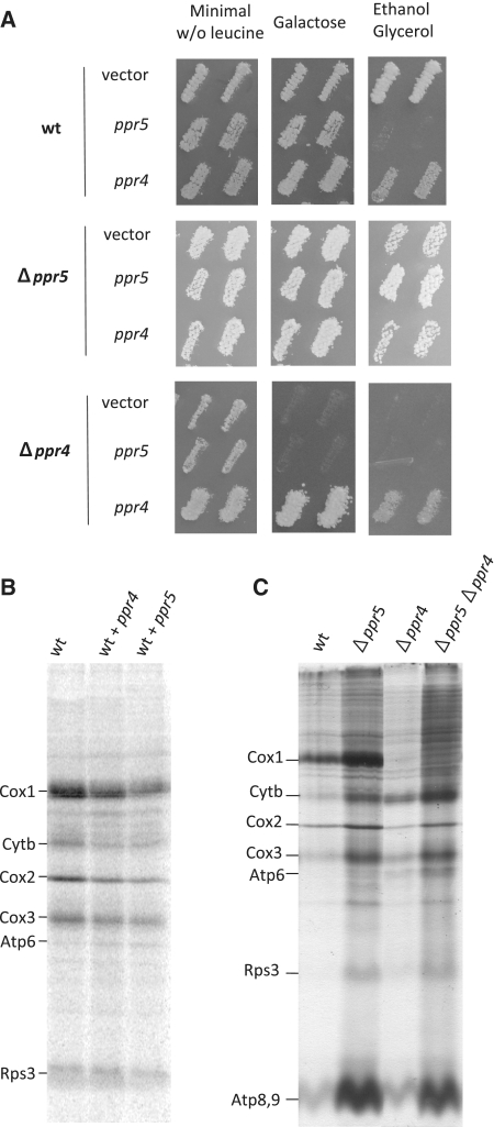 Figure 7.