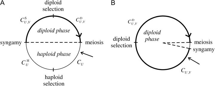 Figure 2.—