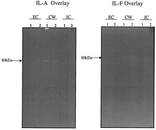 FIG. 4.