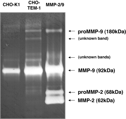 Fig. 9.