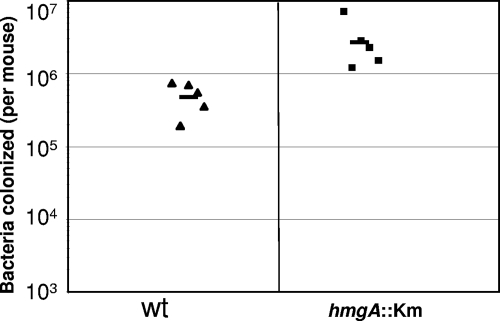 FIG. 9.