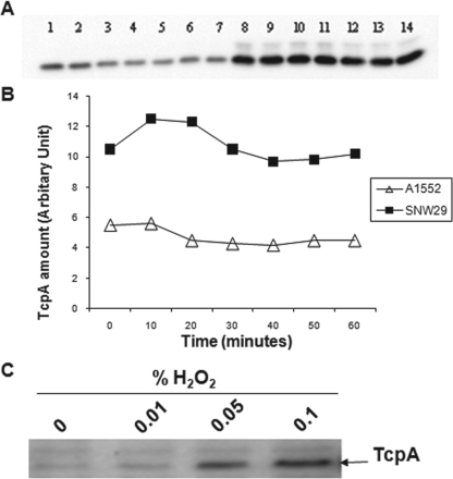 FIG. 8.