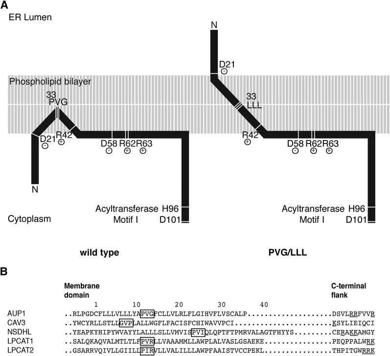 Fig. 8.