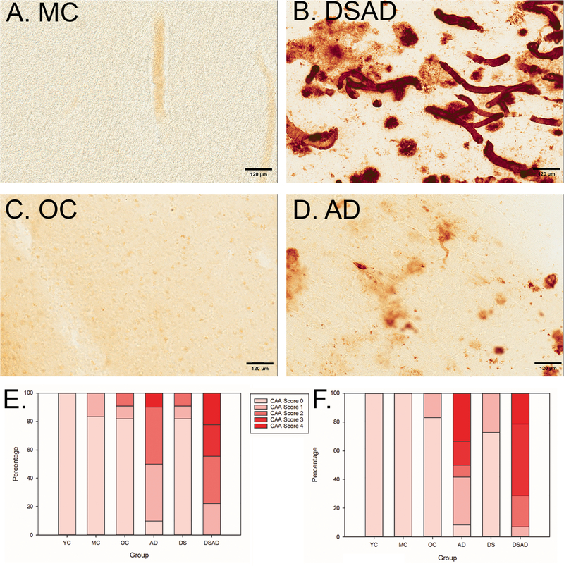 Figure 2: