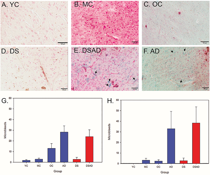 Figure 3: