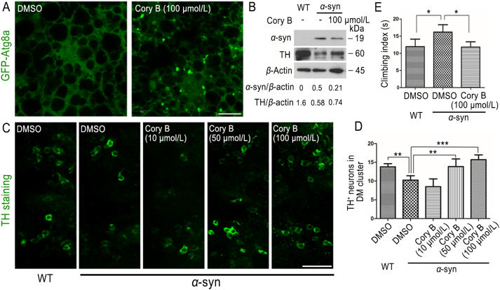 Figure 6