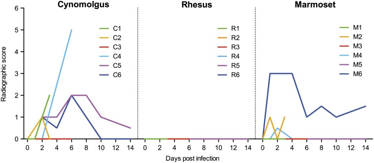 Fig 5