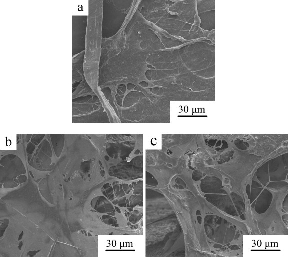 Figure 9.