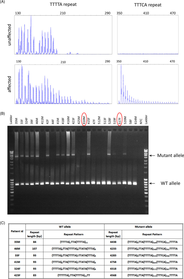 FIGURE 3