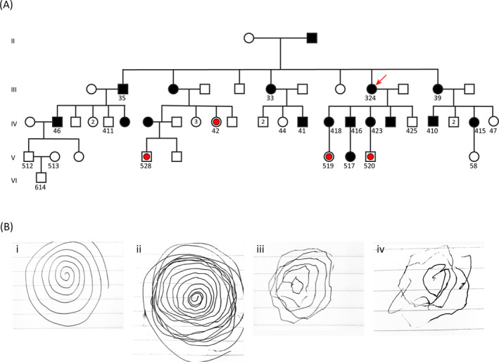 FIGURE 1