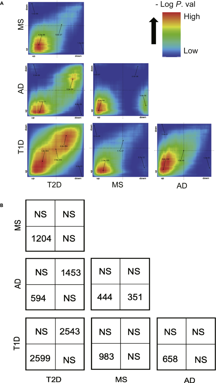 Figure 2