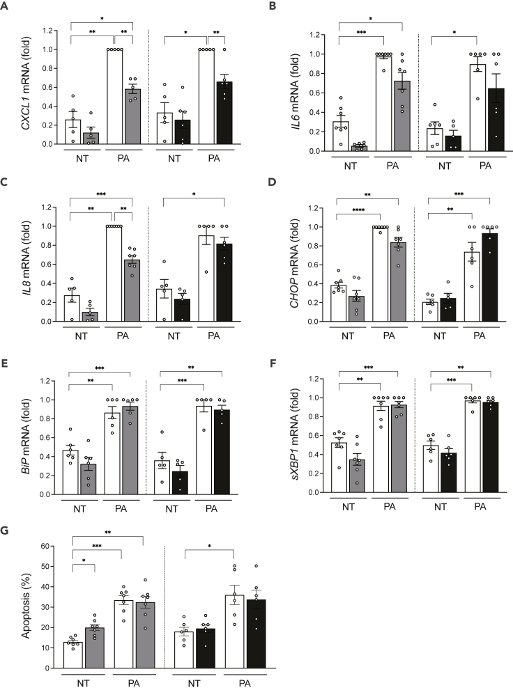 Figure 7