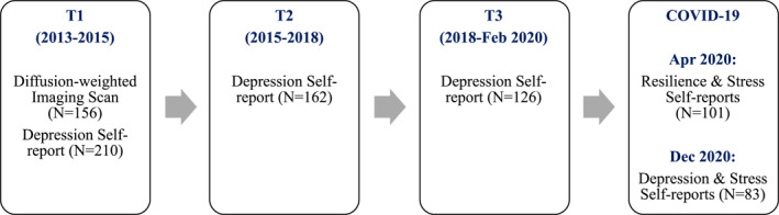 FIGURE 1