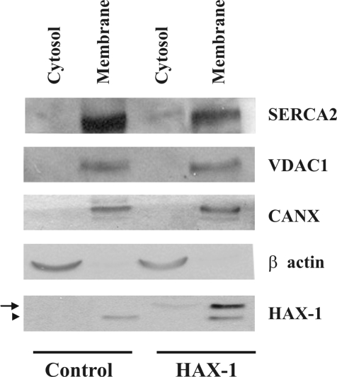 Figure 9.