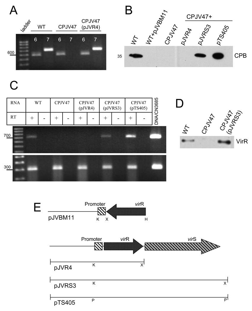 Figure 10