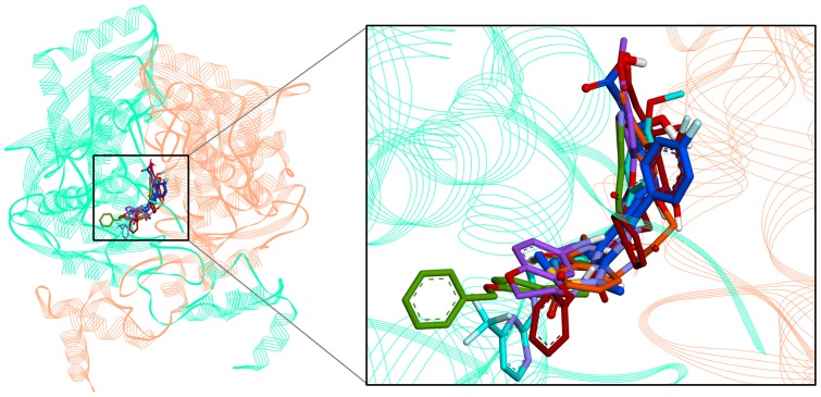 Figure 7