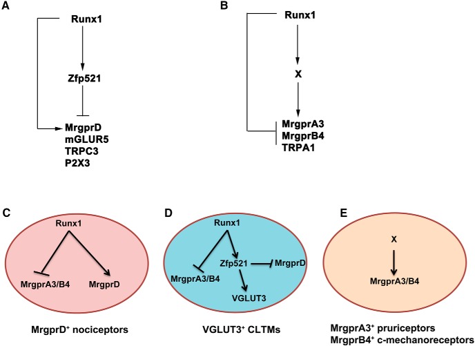 Figure 7.