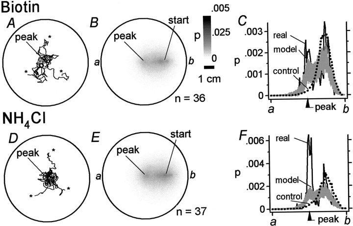 Fig. 11.