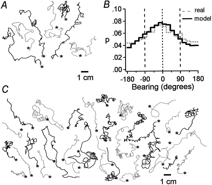 Fig. 12.