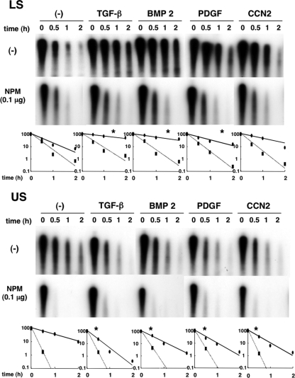 FIG. 8.