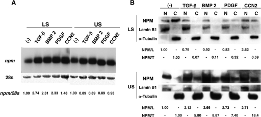 FIG. 7.