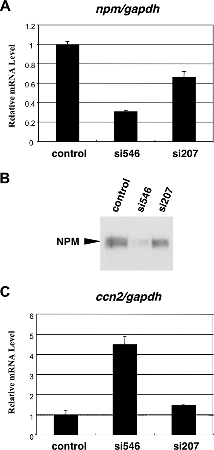 FIG. 9.