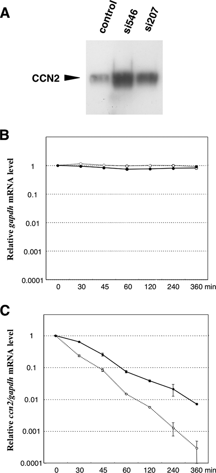 FIG. 10.