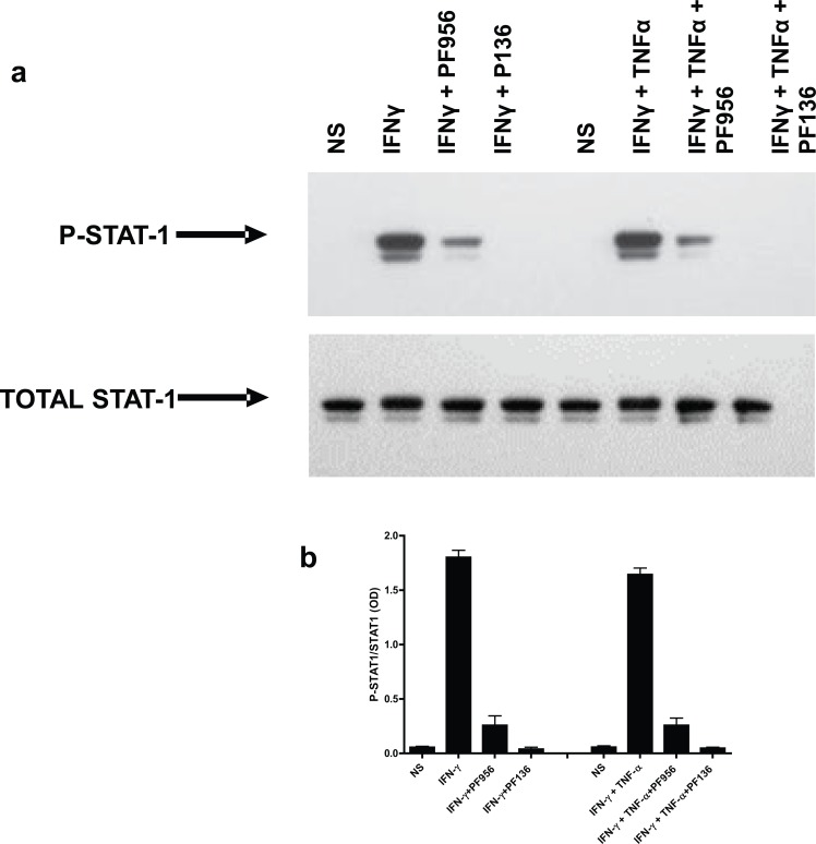 Fig 5