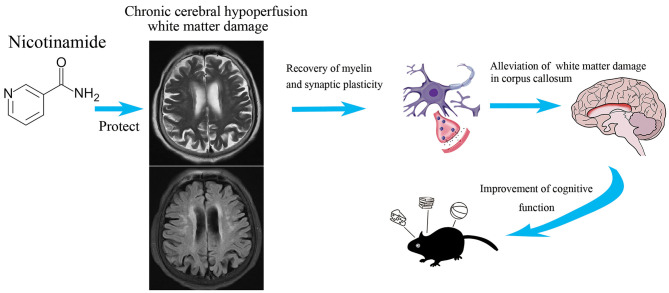 Graphical Abstract