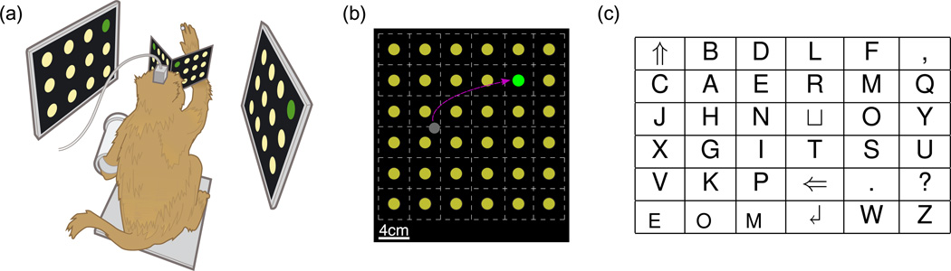 Fig. 1