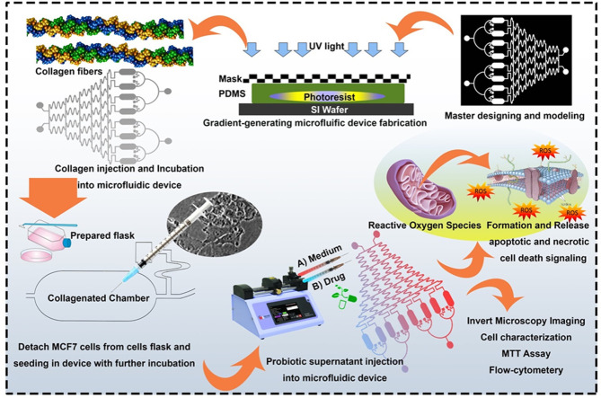 Image, graphical abstract