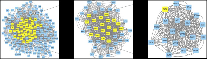 FIGURE 5