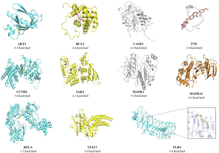 FIGURE 6