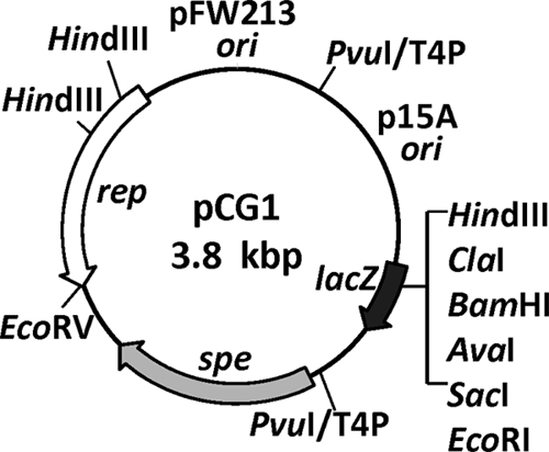 Fig. 5.