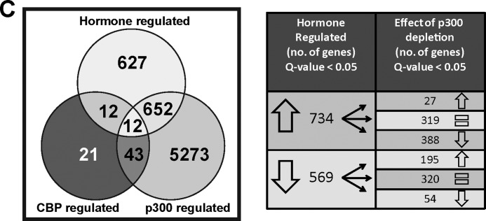 FIGURE 1C.