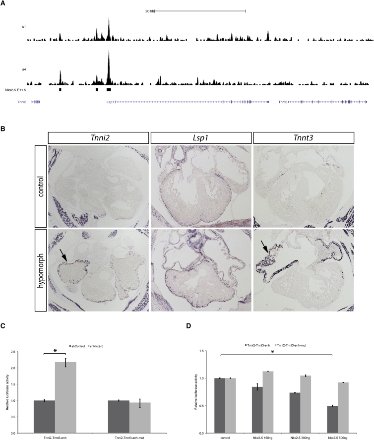 Figure 6