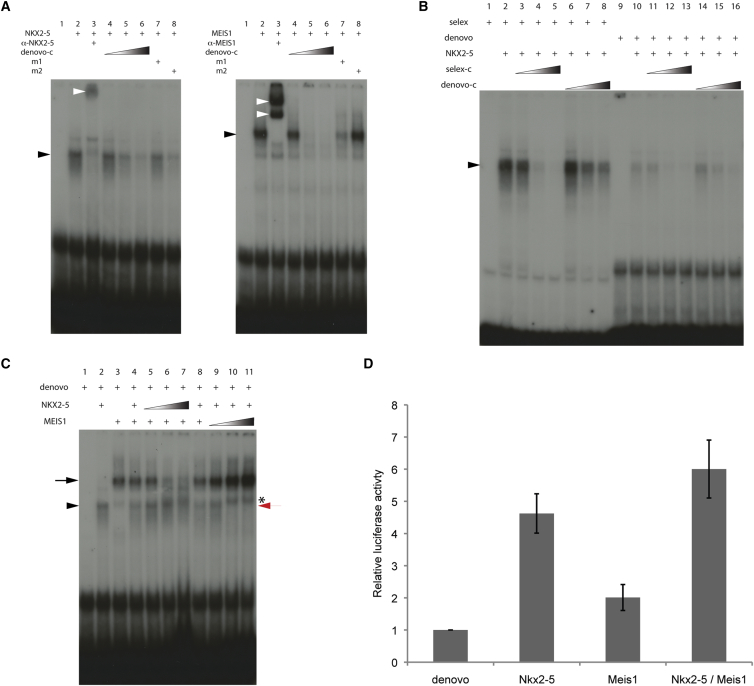 Figure 3