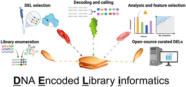 graphic file with name nihpp-2025.02.25.640184v3-f0001.jpg