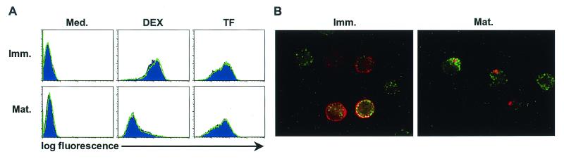 FIG. 7.