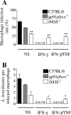 FIG. 8.