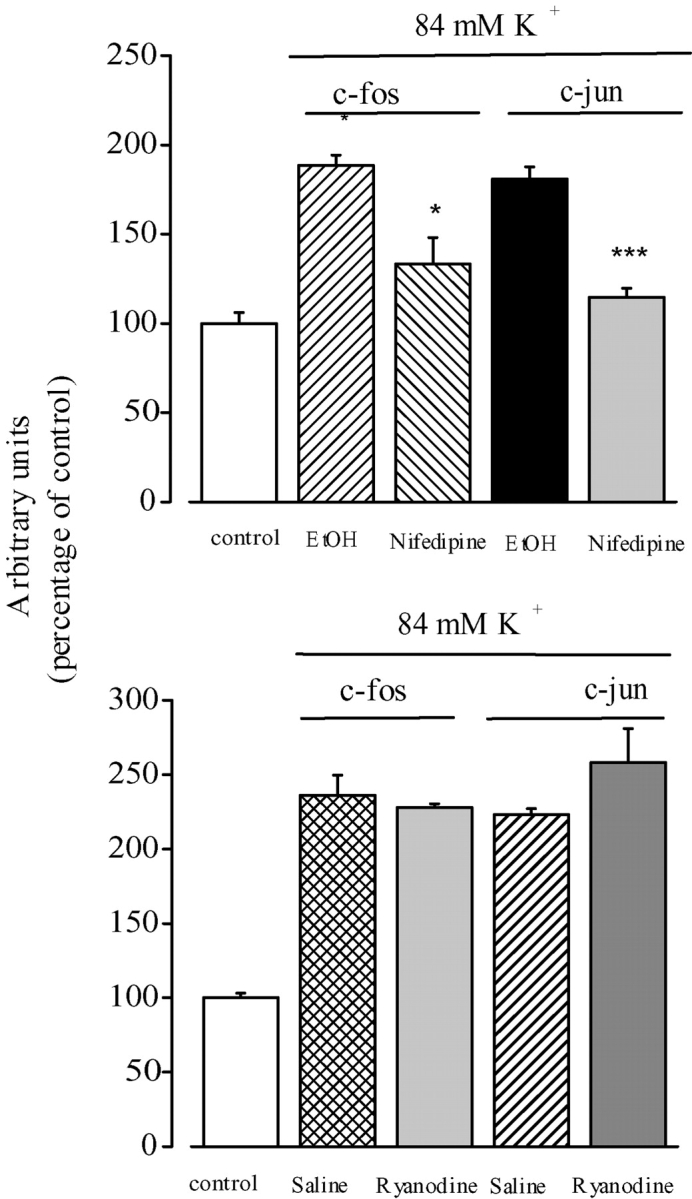 Figure 9. 