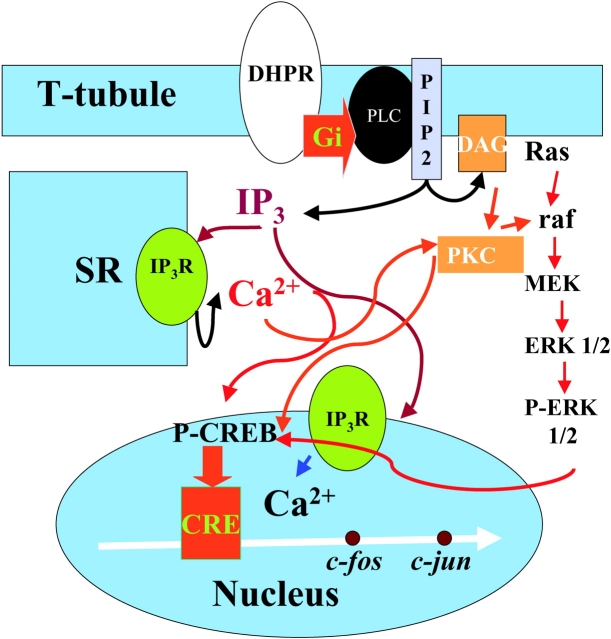 Figure 10. 