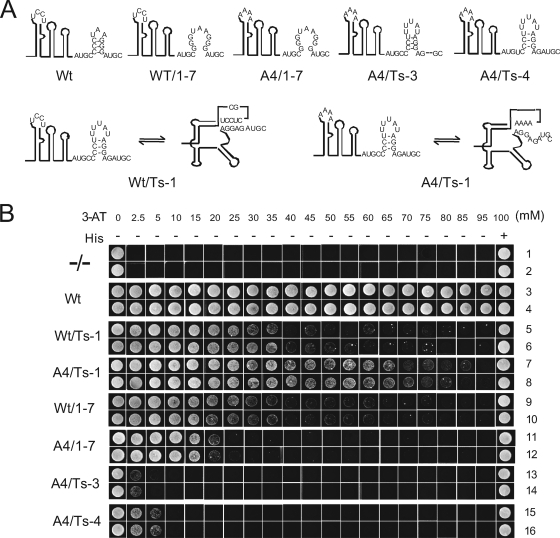 FIG. 4.