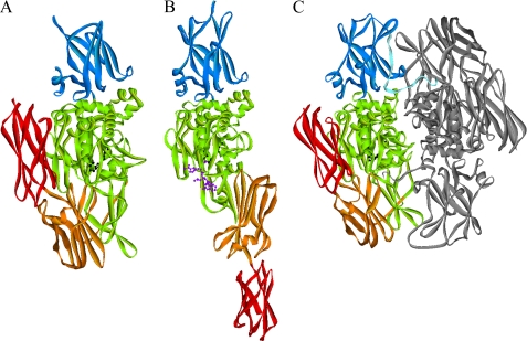 FIGURE 6.