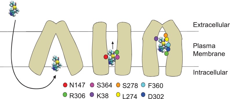 Figure 10