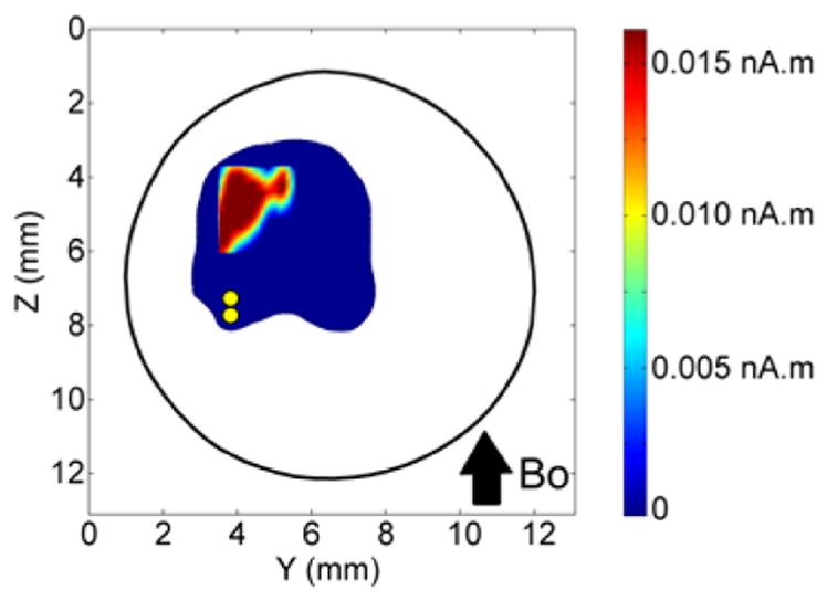 Fig. 9