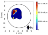 Fig. 9