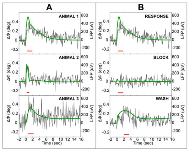 Fig. 11