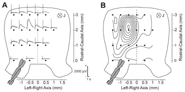 Fig. 6