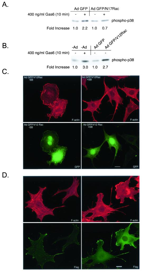 FIG. 6.